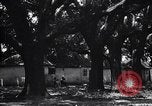 Immagine di Coltivazione di cotone plantation Southern United States USA, 1922, secondo 49 filmato di repertorio 65675036511