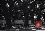 Immagine di Coltivazione di cotone plantation Southern United States USA, 1922, secondo 50 filmato di repertorio 65675036511