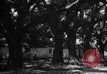 Immagine di Coltivazione di cotone plantation Southern United States USA, 1922, secondo 51 filmato di repertorio 65675036511