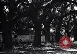 Immagine di Coltivazione di cotone plantation Southern United States USA, 1922, secondo 52 filmato di repertorio 65675036511