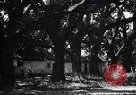 Immagine di Coltivazione di cotone plantation Southern United States USA, 1922, secondo 53 filmato di repertorio 65675036511