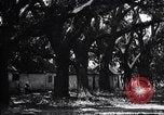 Immagine di Coltivazione di cotone plantation Southern United States USA, 1922, secondo 54 filmato di repertorio 65675036511