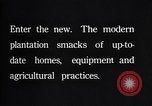 Immagine di Coltivazione di cotone plantation Southern United States USA, 1922, secondo 60 filmato di repertorio 65675036511