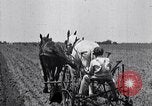 Image of pesticide protects cotton from boll weevil Southern United States USA, 1922, second 31 stock footage video 65675036512