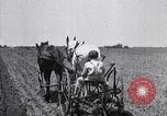 Image of pesticide protects cotton from boll weevil Southern United States USA, 1922, second 32 stock footage video 65675036512