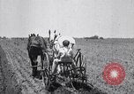 Image of pesticide protects cotton from boll weevil Southern United States USA, 1922, second 33 stock footage video 65675036512