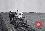 Image of pesticide protects cotton from boll weevil Southern United States USA, 1922, second 34 stock footage video 65675036512