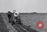 Image of pesticide protects cotton from boll weevil Southern United States USA, 1922, second 37 stock footage video 65675036512