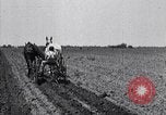 Image of pesticide protects cotton from boll weevil Southern United States USA, 1922, second 38 stock footage video 65675036512