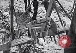 Image of pesticide protects cotton from boll weevil Southern United States USA, 1922, second 43 stock footage video 65675036512