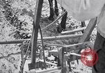 Image of pesticide protects cotton from boll weevil Southern United States USA, 1922, second 44 stock footage video 65675036512