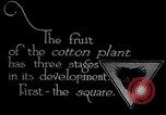Image of cotton farming fruit stage Southern United States USA, 1922, second 3 stock footage video 65675036513