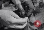 Image of cotton farming fruit stage Southern United States USA, 1922, second 17 stock footage video 65675036513