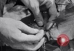 Image of cotton farming fruit stage Southern United States USA, 1922, second 18 stock footage video 65675036513