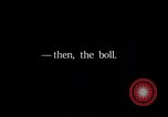 Image of cotton farming fruit stage Southern United States USA, 1922, second 45 stock footage video 65675036513