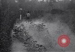Image of cotton farming pesticide calcium arsenide Southern United States USA, 1922, second 40 stock footage video 65675036514