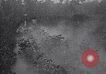 Image of cotton farming pesticide calcium arsenide Southern United States USA, 1922, second 43 stock footage video 65675036514