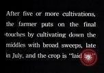 Image of cotton farming pesticide calcium arsenide Southern United States USA, 1922, second 44 stock footage video 65675036514