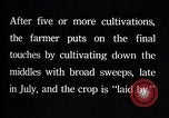Image of cotton farming pesticide calcium arsenide Southern United States USA, 1922, second 46 stock footage video 65675036514