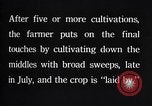 Image of cotton farming pesticide calcium arsenide Southern United States USA, 1922, second 51 stock footage video 65675036514