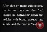 Image of cotton farming pesticide calcium arsenide Southern United States USA, 1922, second 54 stock footage video 65675036514