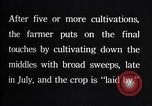 Image of cotton farming pesticide calcium arsenide Southern United States USA, 1922, second 55 stock footage video 65675036514