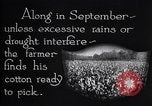 Image of cotton picking weighing and delivery to gin Southern United States USA, 1922, second 8 stock footage video 65675036515