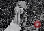 Image of cotton picking weighing and delivery to gin Southern United States USA, 1922, second 38 stock footage video 65675036515