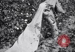 Image of cotton picking weighing and delivery to gin Southern United States USA, 1922, second 44 stock footage video 65675036515