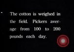 Image of cotton picking weighing and delivery to gin Southern United States USA, 1922, second 51 stock footage video 65675036515