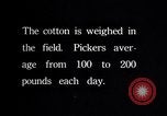 Image of cotton picking weighing and delivery to gin Southern United States USA, 1922, second 52 stock footage video 65675036515
