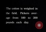 Image of cotton picking weighing and delivery to gin Southern United States USA, 1922, second 53 stock footage video 65675036515
