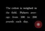 Image of cotton picking weighing and delivery to gin Southern United States USA, 1922, second 54 stock footage video 65675036515
