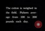 Image of cotton picking weighing and delivery to gin Southern United States USA, 1922, second 55 stock footage video 65675036515