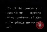 Standbild Baumwolle Landwirtschaft Experiment stations Southern United States USA, 1922, aus Sekunde 1 historischem Filmmaterial Videoclip 65675036516
