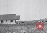Standbild Baumwolle Landwirtschaft Experiment stations Southern United States USA, 1922, aus Sekunde 12 historischem Filmmaterial Videoclip 65675036516