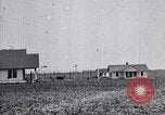 Standbild Baumwolle Landwirtschaft Experiment stations Southern United States USA, 1922, aus Sekunde 14 historischem Filmmaterial Videoclip 65675036516