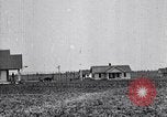 Standbild Baumwolle Landwirtschaft Experiment stations Southern United States USA, 1922, aus Sekunde 15 historischem Filmmaterial Videoclip 65675036516