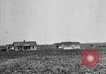 Standbild Baumwolle Landwirtschaft Experiment stations Southern United States USA, 1922, aus Sekunde 20 historischem Filmmaterial Videoclip 65675036516