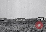 Standbild Baumwolle Landwirtschaft Experiment stations Southern United States USA, 1922, aus Sekunde 23 historischem Filmmaterial Videoclip 65675036516