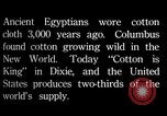Standbild Baumwolle Landwirtschaft Experiment stations Southern United States USA, 1922, aus Sekunde 25 historischem Filmmaterial Videoclip 65675036516