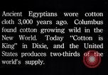 Standbild Baumwolle Landwirtschaft Experiment stations Southern United States USA, 1922, aus Sekunde 26 historischem Filmmaterial Videoclip 65675036516