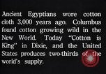 Standbild Baumwolle Landwirtschaft Experiment stations Southern United States USA, 1922, aus Sekunde 28 historischem Filmmaterial Videoclip 65675036516
