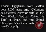 Standbild Baumwolle Landwirtschaft Experiment stations Southern United States USA, 1922, aus Sekunde 29 historischem Filmmaterial Videoclip 65675036516
