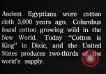 Standbild Baumwolle Landwirtschaft Experiment stations Southern United States USA, 1922, aus Sekunde 30 historischem Filmmaterial Videoclip 65675036516