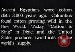 Standbild Baumwolle Landwirtschaft Experiment stations Southern United States USA, 1922, aus Sekunde 31 historischem Filmmaterial Videoclip 65675036516
