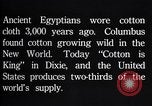 Standbild Baumwolle Landwirtschaft Experiment stations Southern United States USA, 1922, aus Sekunde 33 historischem Filmmaterial Videoclip 65675036516