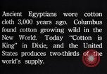 Standbild Baumwolle Landwirtschaft Experiment stations Southern United States USA, 1922, aus Sekunde 35 historischem Filmmaterial Videoclip 65675036516