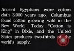 Standbild Baumwolle Landwirtschaft Experiment stations Southern United States USA, 1922, aus Sekunde 37 historischem Filmmaterial Videoclip 65675036516