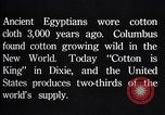 Standbild Baumwolle Landwirtschaft Experiment stations Southern United States USA, 1922, aus Sekunde 39 historischem Filmmaterial Videoclip 65675036516